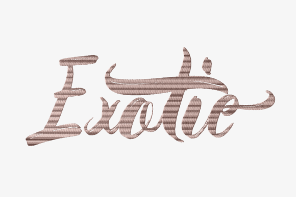 Exotic Lettering: A Designer’s Review for Handmade Gifts