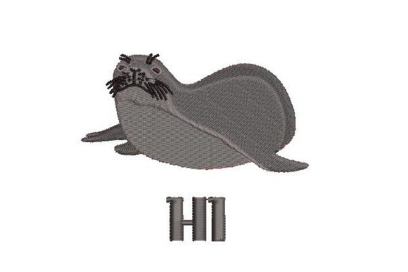 Hawaiian Monk Seal HI: A Designer’s Review